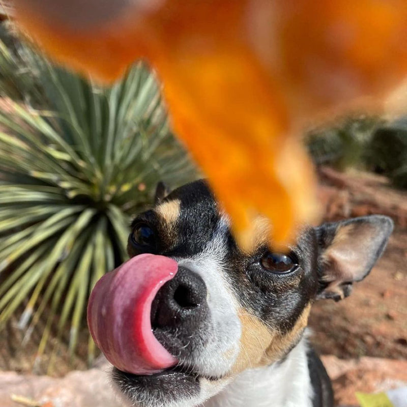 Gourmet Chicken Jerky Crisps