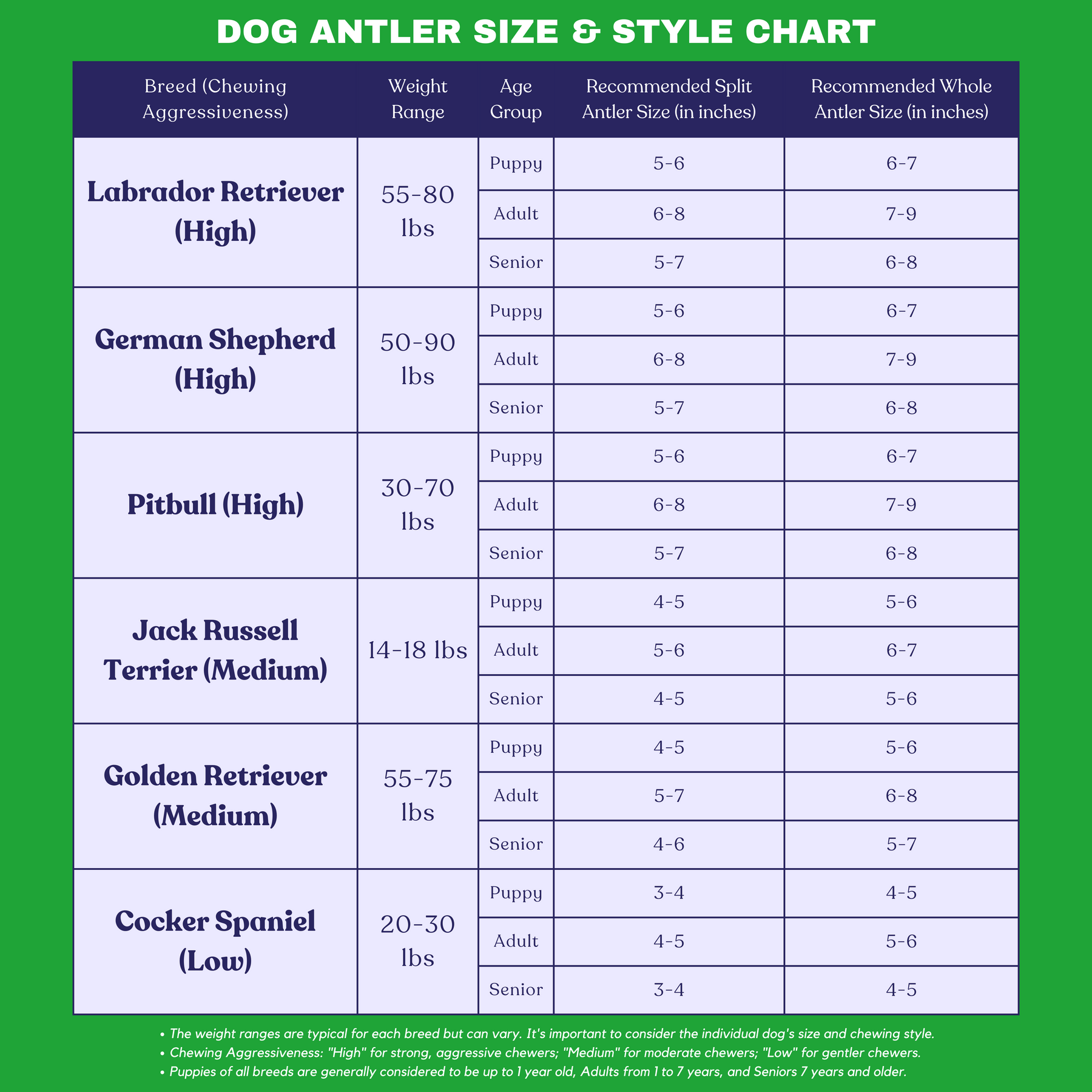 Elk Antlers – Wholly Pup